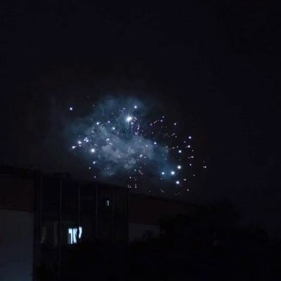 代号动物乱斗手游下载